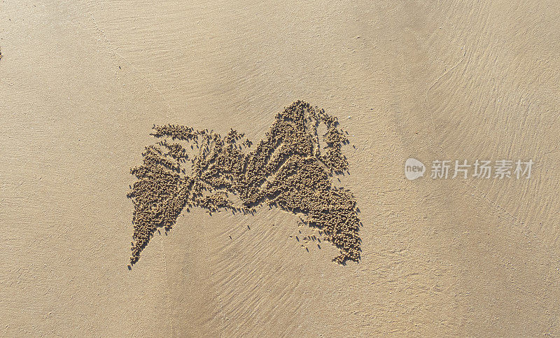 这是一只螃蟹在沙地上留下的痕迹