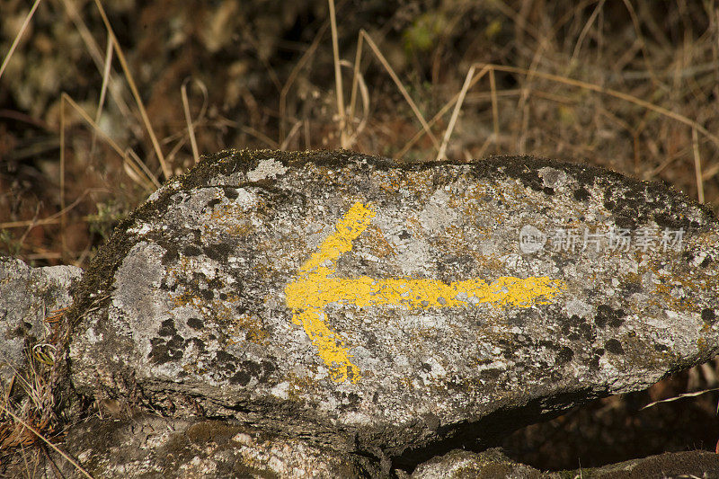 石头上的黄色箭头标志，象征圣地亚哥之路