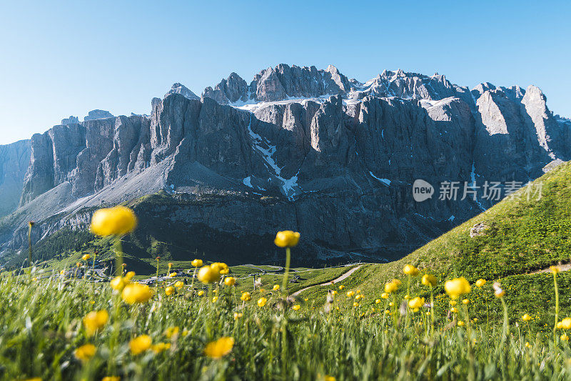 穿过野花和草地，看到群山