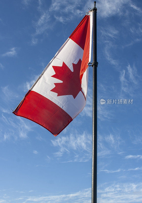 加拿大国旗在风中飘扬