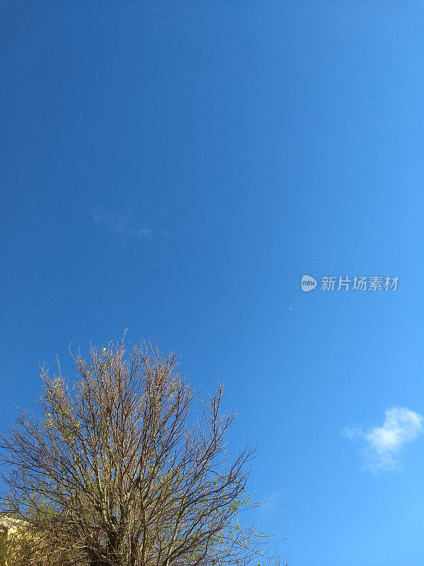 冬季的天空,巴西