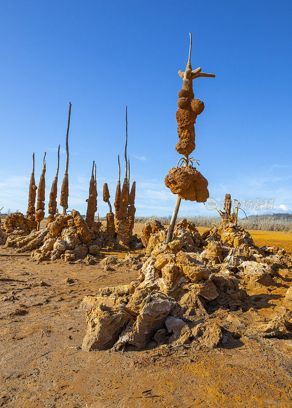 Gossan水库-有毒废物，奇妙的晶体形成，建立在以前的树木周围，Huelva