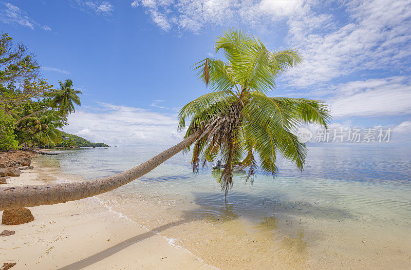 热带海滩上的棕榈树隐现在Praslin岛的海滩上，花岗岩塞舌尔，印度洋群岛国家