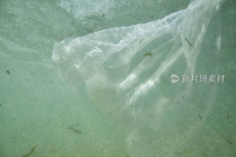 丢弃的白色塑料购物袋漂浮在海里。