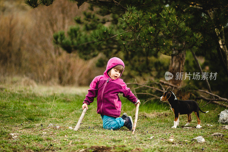 顽皮的小女孩玩着棍子，而她的小猎犬让她成为一个公司