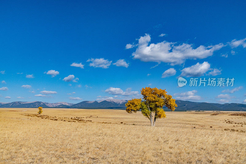 秋景非常乡村的蒙大拿牧场草原