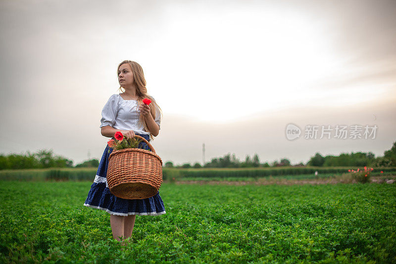 站在三叶草地里的金发女孩