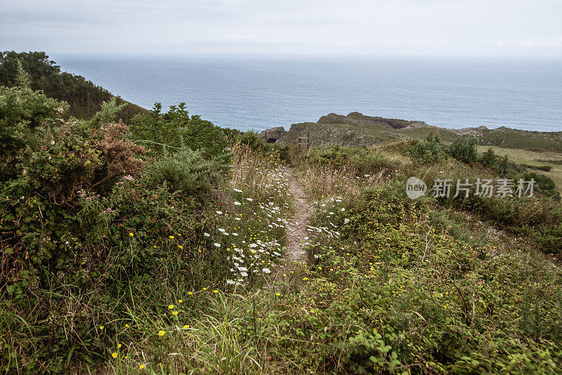 铺满鲜花的小路通向大海