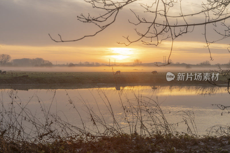 日出时的大河