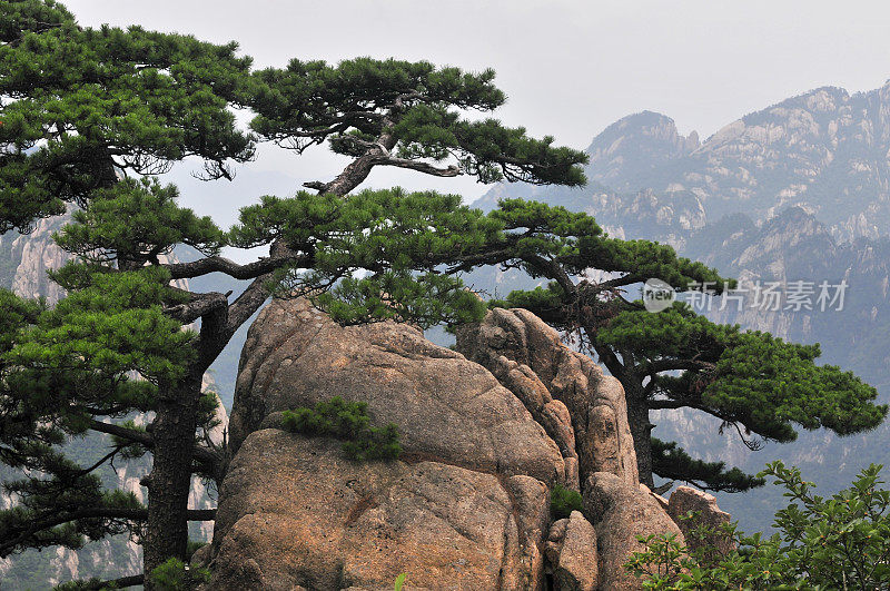 黄山，多云的夏日，中国东部安徽省南部。