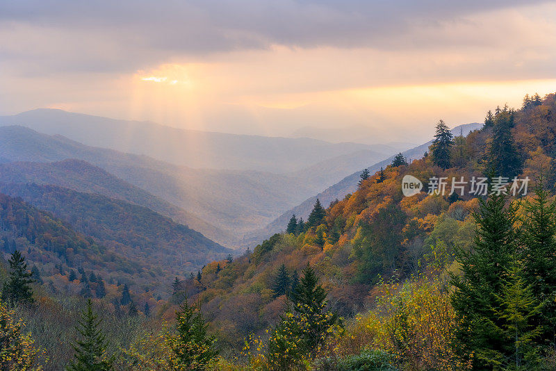 日出之光，漫山遍野，秋色缤纷