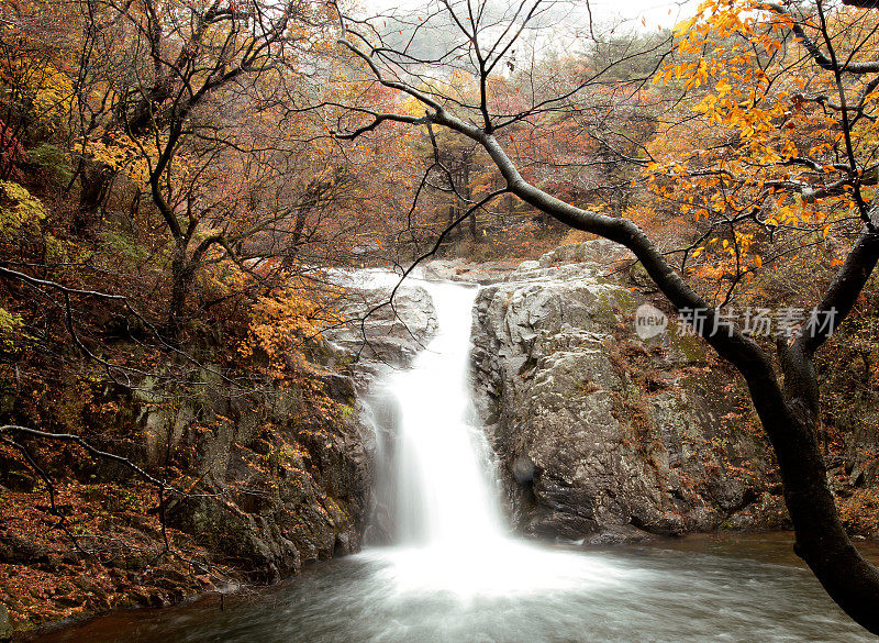 瀑布和
秋天
叶子VH538