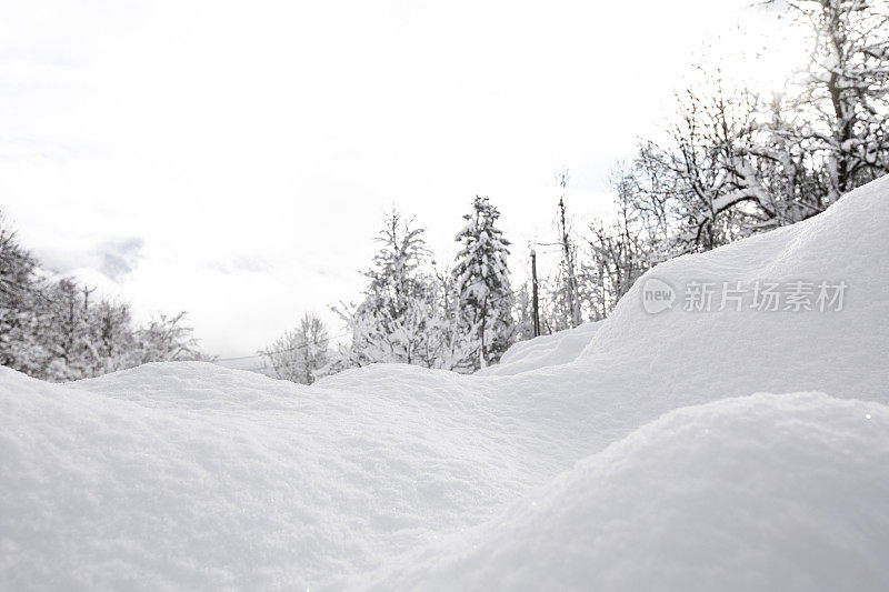 寒冷的冬天，厚厚的积雪覆盖着大自然