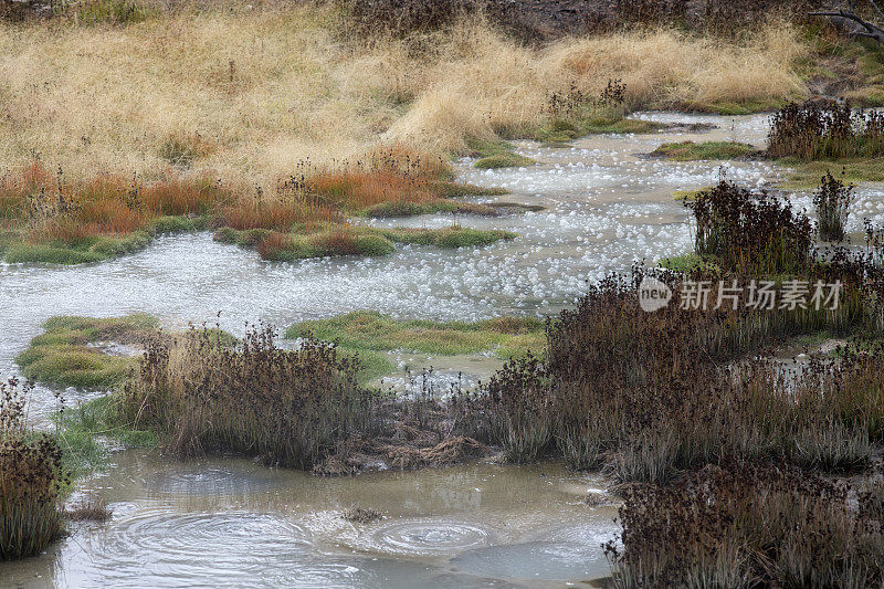 在黄石国家公园泥火山地区的冒泡池
