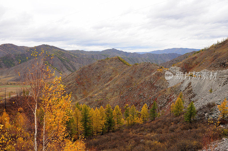 一看，透过黄色的桦树到一个岩石悬崖俯瞰一个风景如画的秋天山谷。