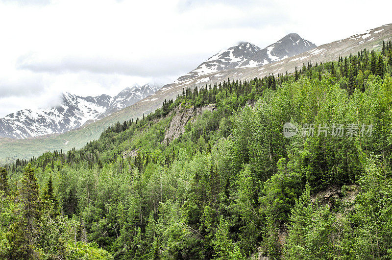 阿拉斯加的风景