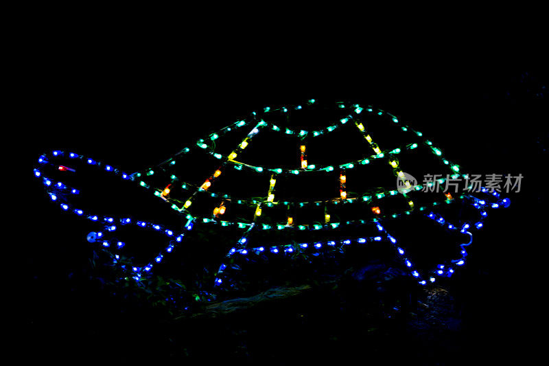 在黑色背景上使用离散灯光的海龟装饰色轮廓