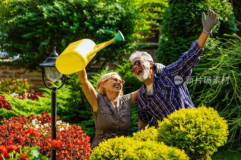 老年夫妇一起园艺