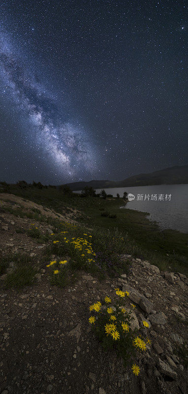 星空与银河之上的黄色野花在一个山湖的岩石海岸上的夜晚。看星星是沉思。灵感和灵性。