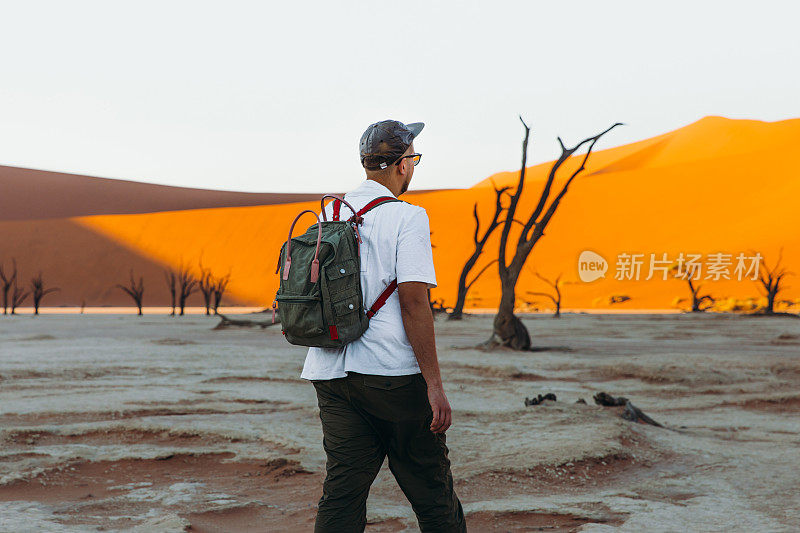 在纳米比亚的日出期间，人旅行者探索与树木和沙丘的索苏雷沙漠景观