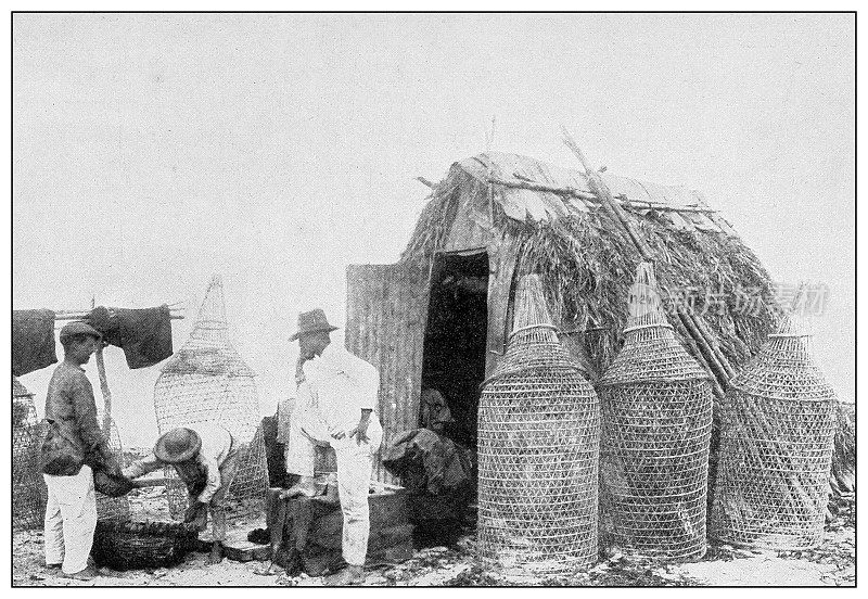 古黑白照片:古巴巴塔巴诺附近的渔民