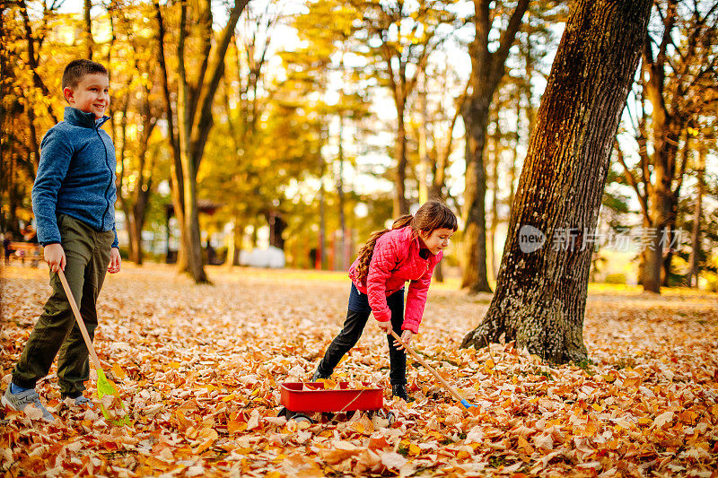 秋天，孩子们在公园里玩耍