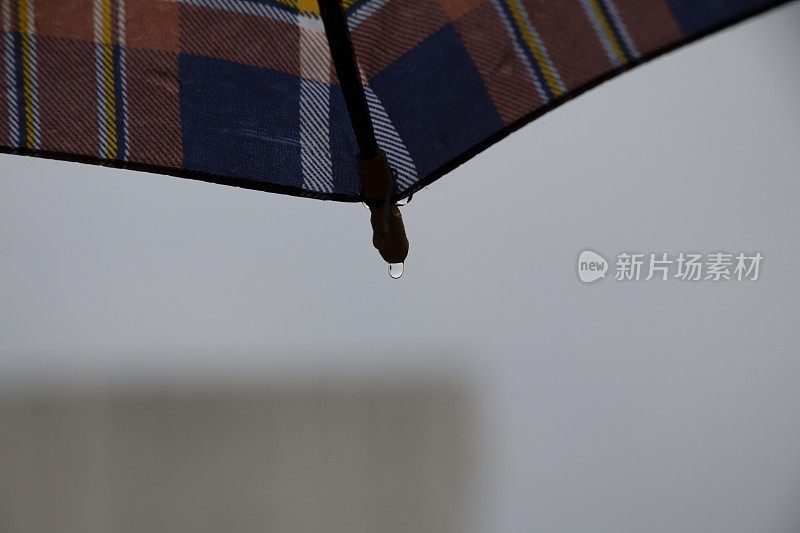 雨点落在彩虹伞上，天以自然为背景