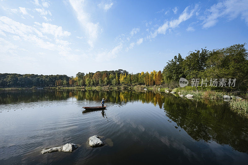 秋天天气晴朗。拍摄成都湖畔泛黄的树和船