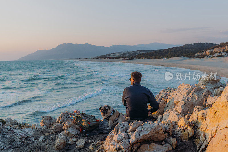 在土耳其，一只雄性和他的狗在海滩上凝视日落的后视图