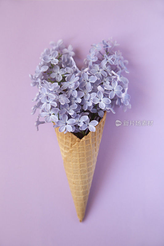 淡紫色的花在冰淇淋里