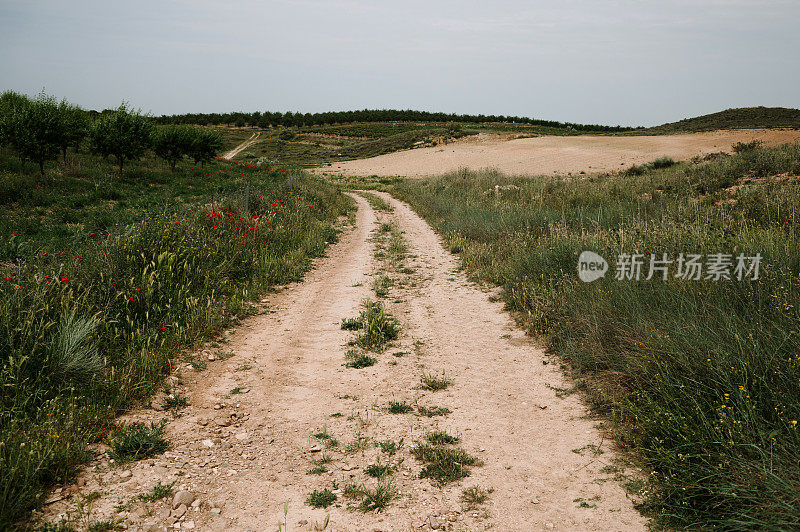 乡间的土路