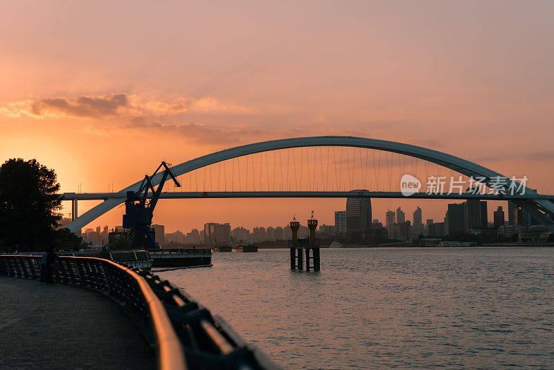 金色夕阳下的卢浦大桥和上海的城市景观