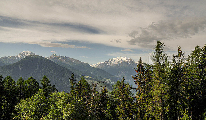 夏日清晨，瑞士阿尔卑斯山的风景