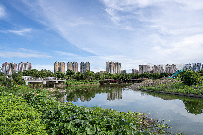 宜居城市的湖泊和绿地