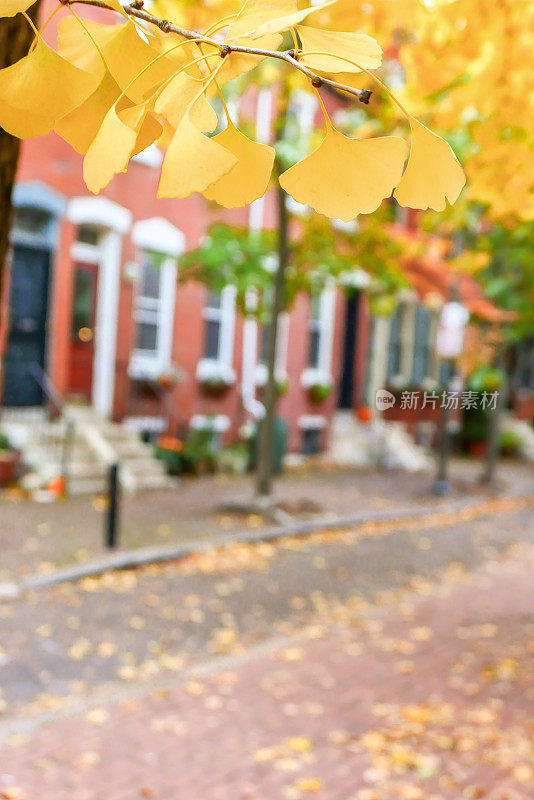 费城在秋天