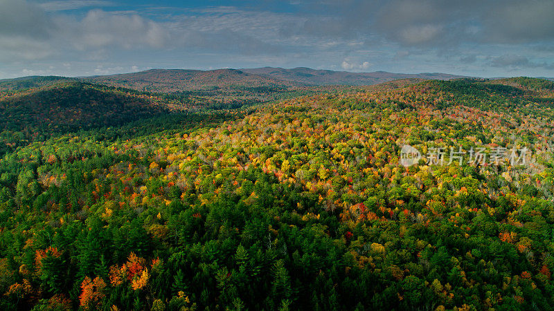 无人机拍摄的秋天的新罕布什尔州森林