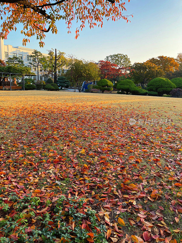 10月的早晨