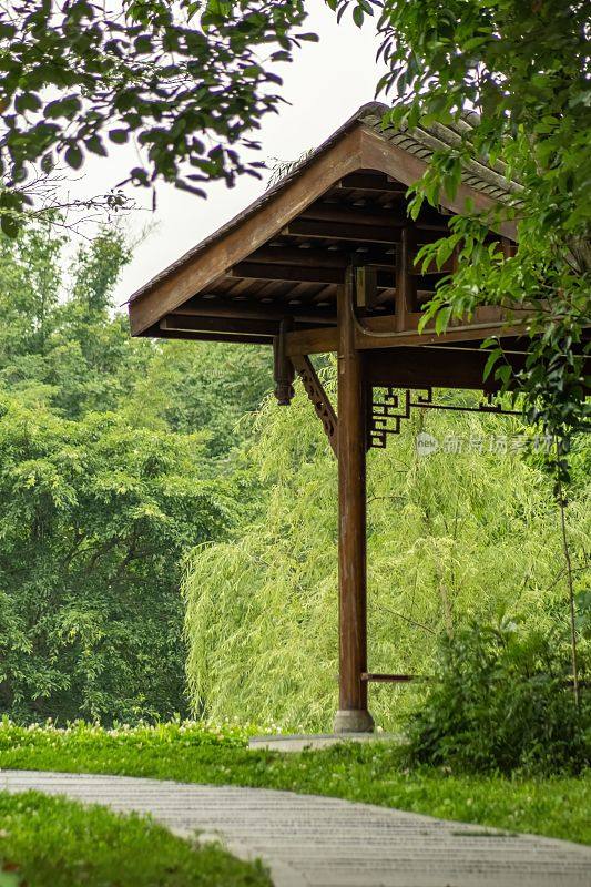 垂直拍摄的青龙湖公园里的一个古老的木制亭子，拥有茂盛的绿色自然，中国成都