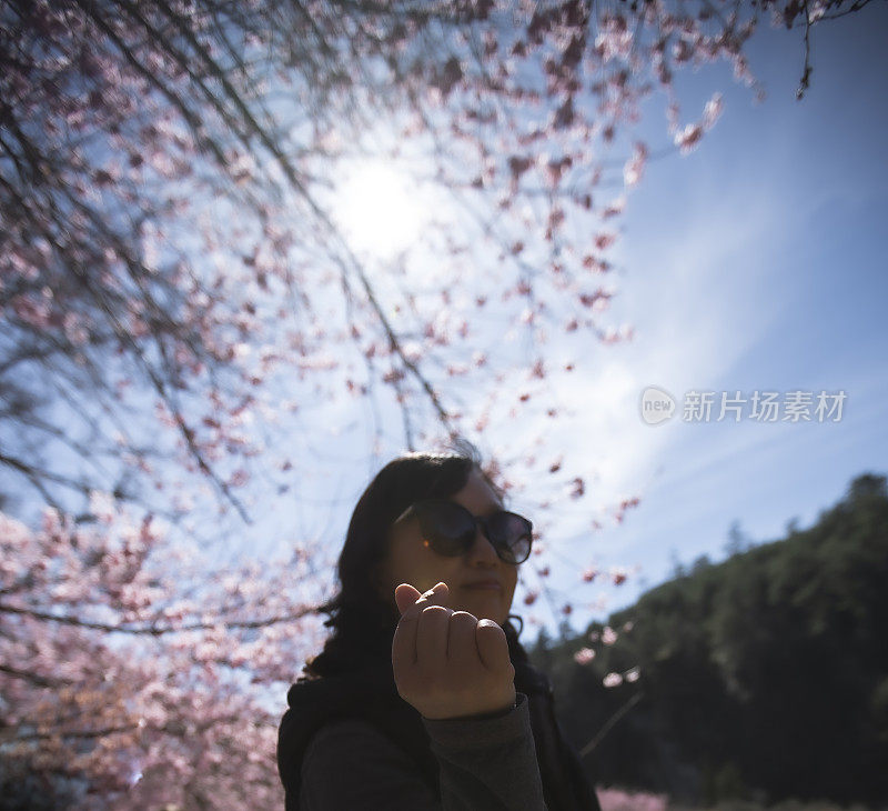 户外的快乐时光，台湾春天的樱花