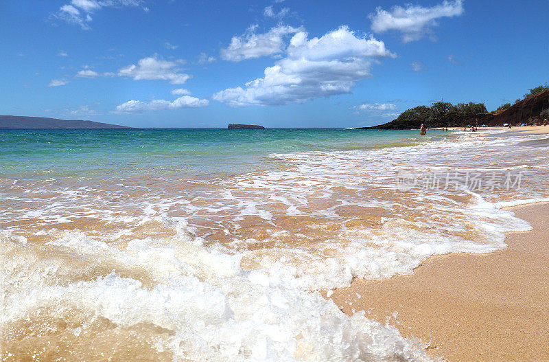 黄金沙滩与海浪碰撞。夏威夷毛伊岛
