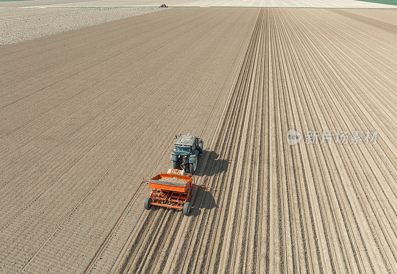春天，拖拉机在土壤中种植土豆种子