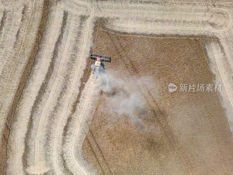 联合收割机收割大豆植株的航拍照片