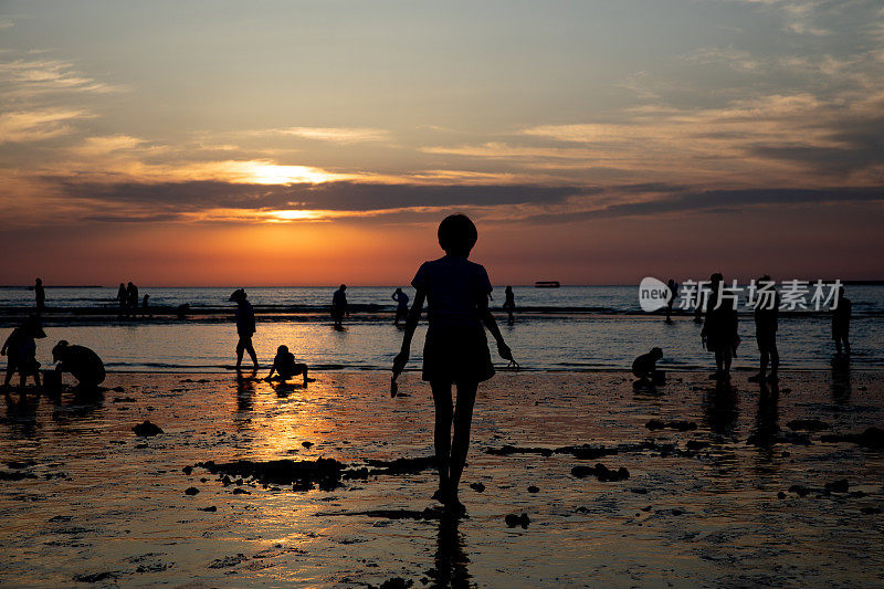 夕阳下，人们在沙滩上寻找贝壳