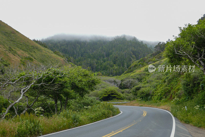 1号公路，旧金山北部