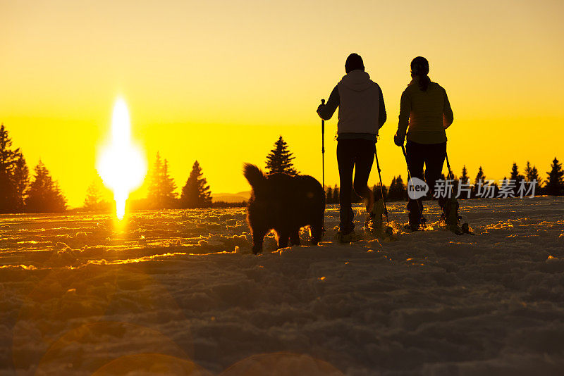 两名女滑雪者与伯尔尼山宠物狗在雪坡上散步的后视图