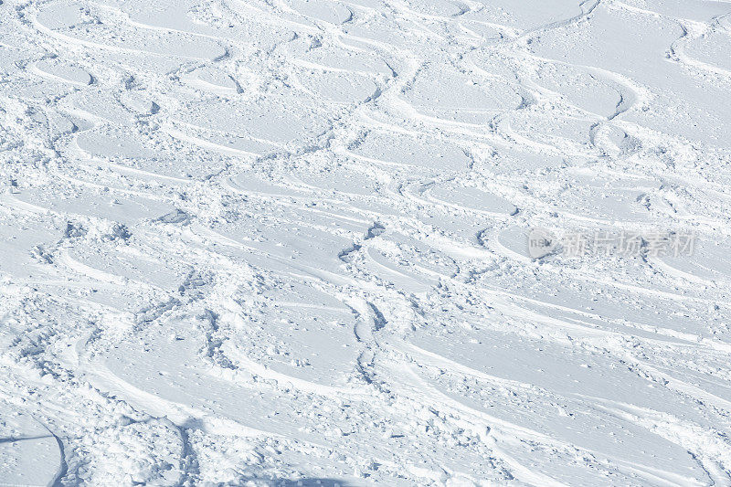 冬季滑雪胜地的粉雪小径