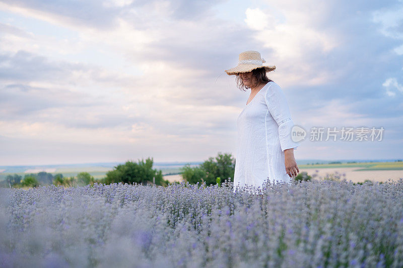 莱凡德田野的白衣女郎。