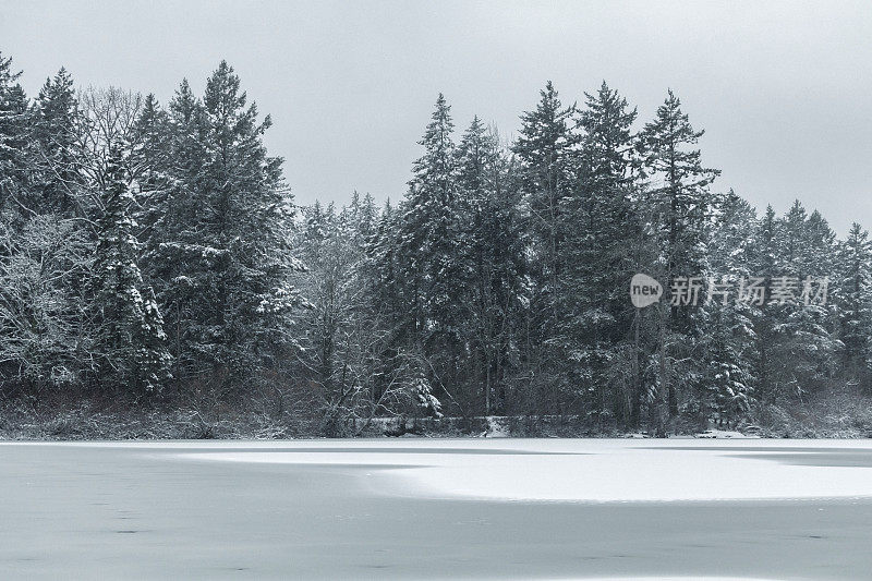 海狸湖地区公园的雪景