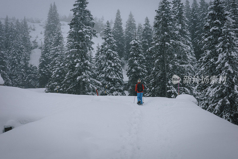 冬季森林里的雪地鞋