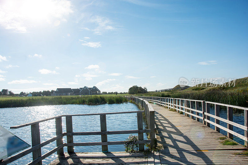 爱德华王子岛卡文迪什的麦克尼尔池塘和观景台
